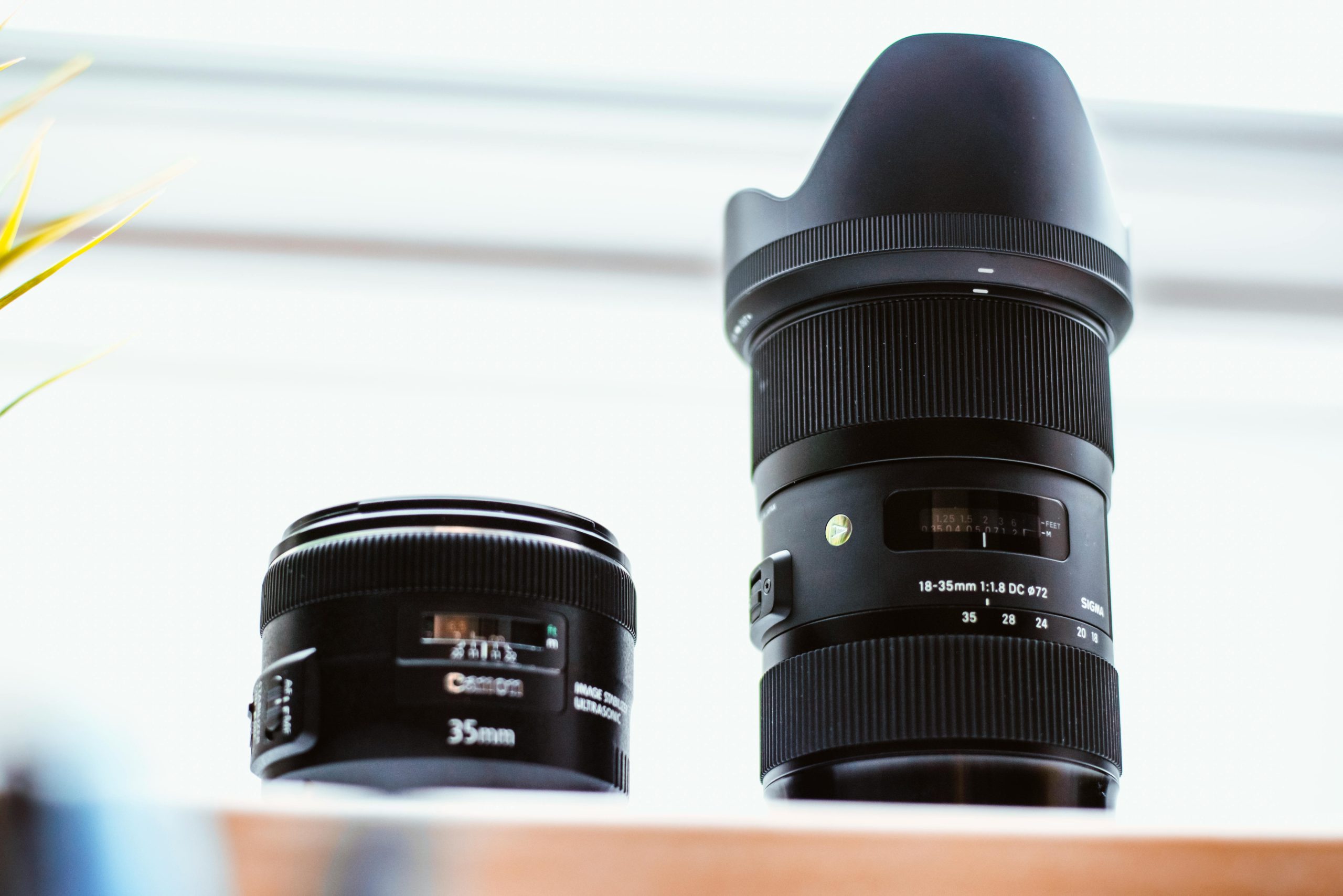 Comparatif entre une focale fixe 35 mm et un zoom pour débuter en photo