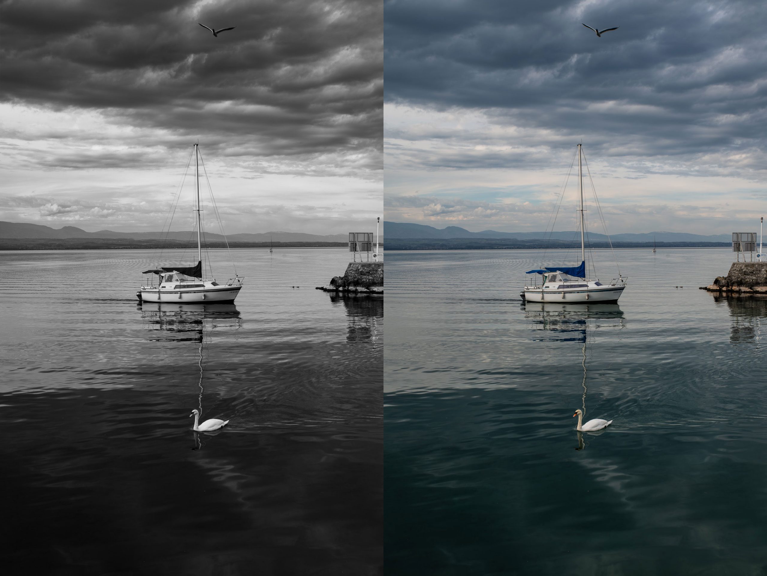 Comparaison photo noir et blanc et couleur d’un bateau sur un lac avec un cygne au premier plan