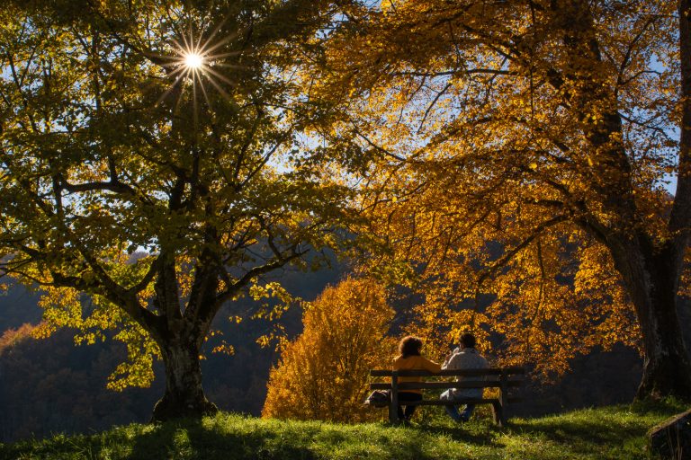 Deux personnes sur un banc sous des arbres au feuillage doré, avec le soleil traversant les branches.