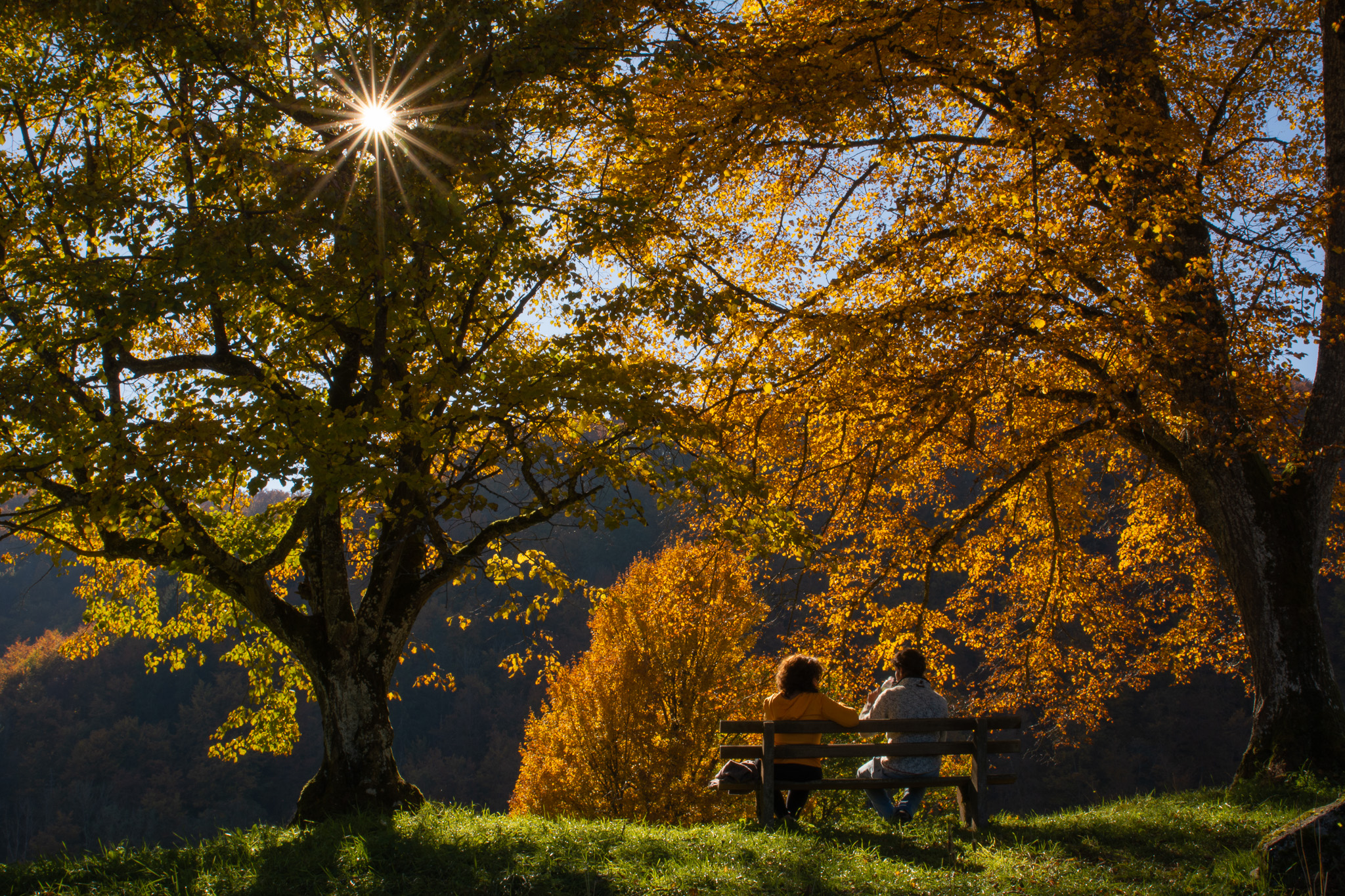 Deux personnes sur un banc sous des arbres au feuillage doré, avec le soleil traversant les branches.